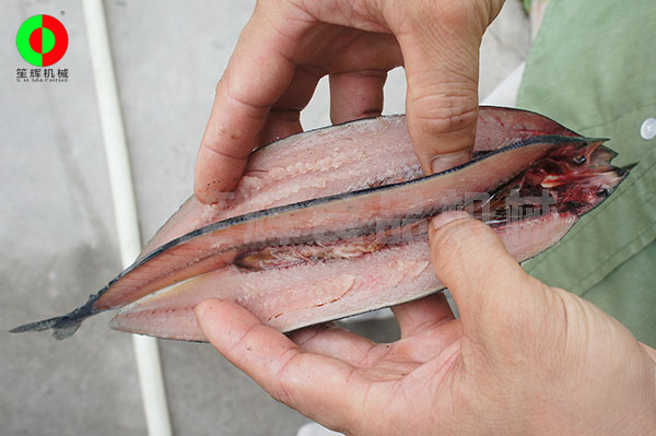 魚類開邊機