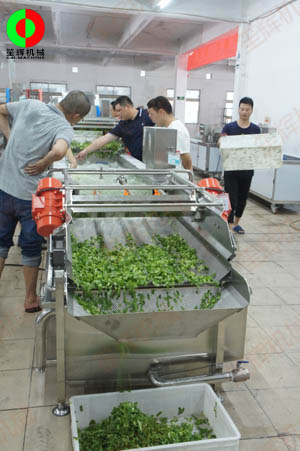 客戶親臨我司實(shí)地考察工廠及蔬果切割清洗生產(chǎn)線設(shè)備！