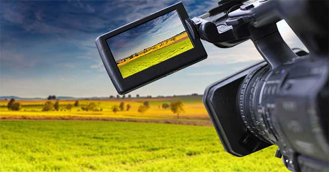 1561188966989792.jpg 1.jpg